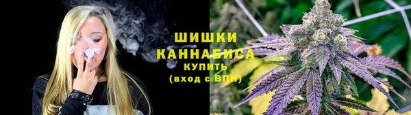 сатива Балабаново