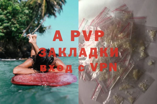 сатива Балабаново