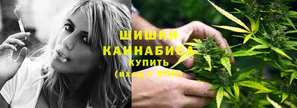 сатива Балабаново