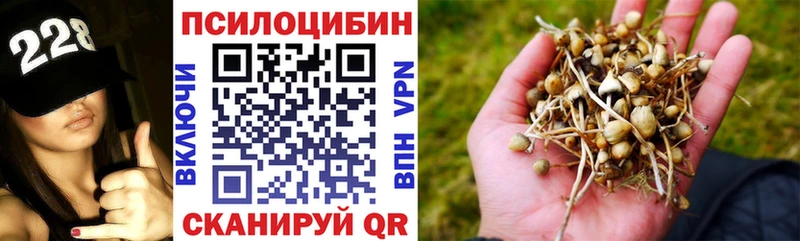 хочу наркоту  мориарти какой сайт  Псилоцибиновые грибы Magic Shrooms  Котельниково 