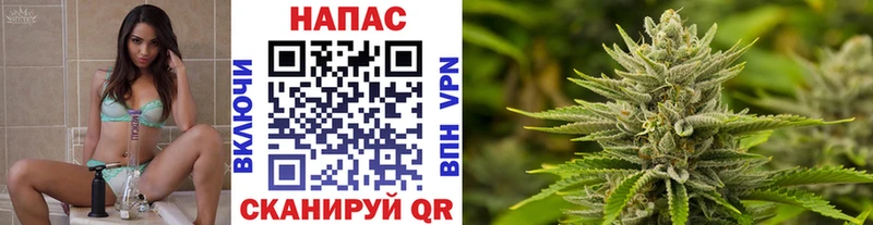 Каннабис план  Котельниково 